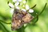 120298 – Photo : Nicolas Alric – France (12)