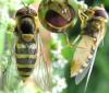 120848 – Photo : ADELSKI Adrien – France (60)