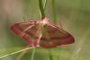 120761 – Photo : Arthropa - Benoit Martha – France (71)