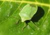 120748 – Photo : Nicolas Alric – France (12)