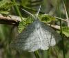 120605 – Photo : Yoann Pelouard – France (06)