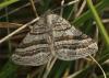 120256 – Photo : Yoann Pelouard – France (06)