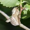 120497 – Photo : Yoann Pelouard – France (06)