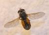 120576 – Photo : clovis – France (13)