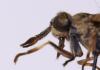 120810 – Photo : clovis – Bulgarie