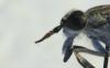 120843 – Photo : clovis – France (13)