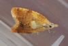 120303 – Photo : Renko Usami – France (59)