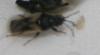 120215 – Photo : Spip35 – France (35)