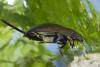 120680 – Photo : Frank Hecker – France (13)