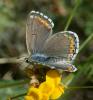 120628 – Photo : Yoann Pelouard – France (06)