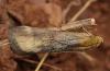 120449 – Photo : Yoann Pelouard – France (06)