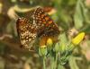 120702 – Photo : Yoann Pelouard – France (06)