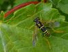 120488 – Photo : Jean-Pierre Viallard – France (28)