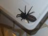 120557 – Photo : Lunox – France (75)