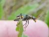 120528 – Photo : Bobabar – France (95)