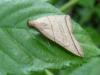 120896 – Photo : Bobabar – France (95)