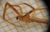 120802 – Photo : Alexanor – France (46)
