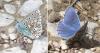 120920 – Photo : Vincent VALLI – France (51)