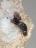 120821 – Photo : gauthier – France (38)