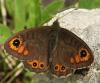 120815 – Photo : Yoann Pelouard – France (26)