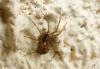 121024 – Photo : Nicolas Alric – France (12)