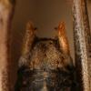 121504 – Photo : Vincent Derreumaux – France (11)