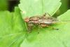 121082 – Photo : Nicolas Alric – France (12)