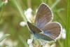 121569 – Photo : Nicolas Alric – France (12)