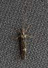 121099 – Photo : Corinne Petitcolin – France (25)