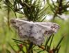 121060 – Photo : Arnaud Jean-Pierre – France (09)