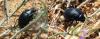 121204 – Photo : Jean-Claude Jamoulle – Portugal