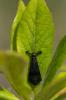 121324 – Photo : Jessica Joachim – France (09)