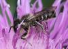 121047 – Photo : Jean-Sébastien Carteron – France (67)