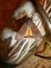 121201 – Photo : Guillaume Martel – France (89)