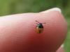 121546 – Photo : Maria Justamond – Royaume-Uni