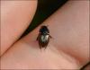 122988 – Photo : Andgelo Mombert – France (25)