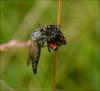 122854 – Photo : Andgelo Mombert – France (39)