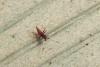 122821 – Photo : Nicolas Alric – France (12)