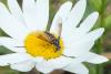 122589 – Photo : Nicolas Alric – France (12)