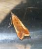 122155 – Photo : Ppersuy – France (46)