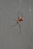 122753 – Photo : D. Martinez – Philippines