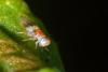 122310 – Photo : Christophe Quintin – France (21)