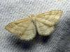 122210 – Photo : Luc Dietrich – France (67)
