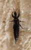 122613 – Photo : Renko Usami – France (62)