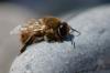 122096 – Photo : Karine Arnou – Italie