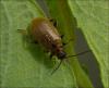 122047 – Photo : Andgelo Mombert – France (25)