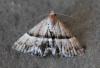 122111 – Photo : Jc.grandmaire – France (83)