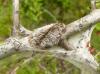 122346 – Photo : Guillaume AUBIN – France (04)