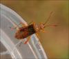 122570 – Photo : Andgelo Mombert – France (39)