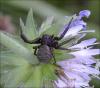 122904 – Photo : Andgelo Mombert – France (25)